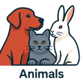 Animals
